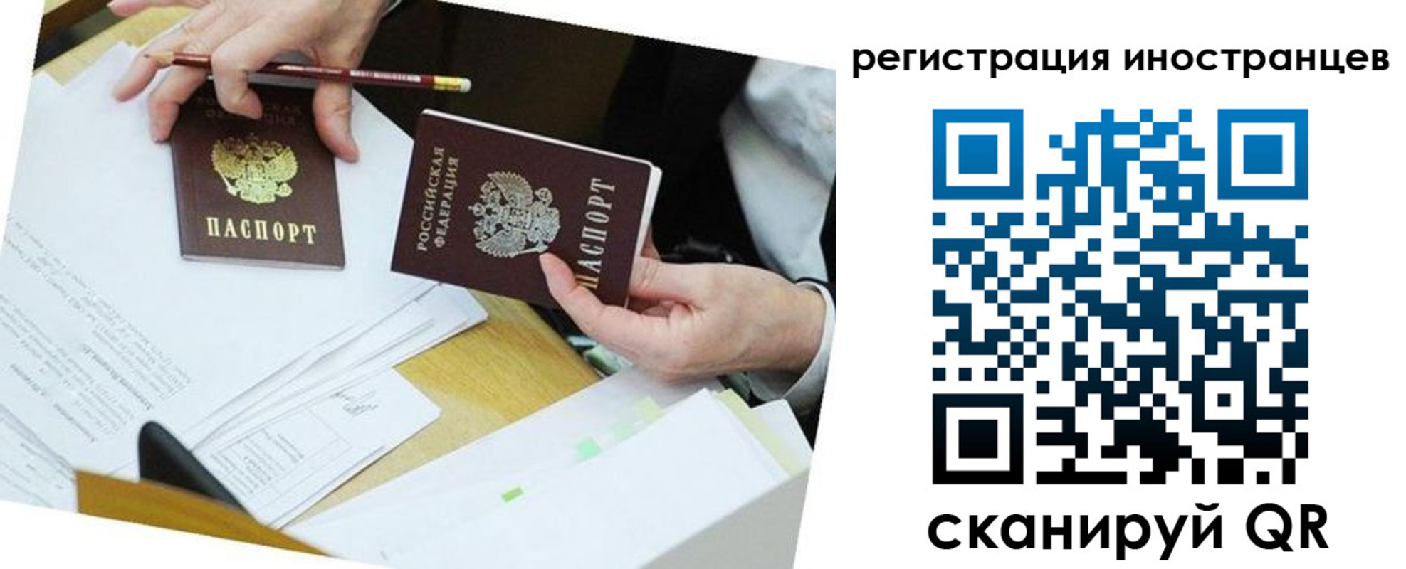 прописка ребенка в Кудрово